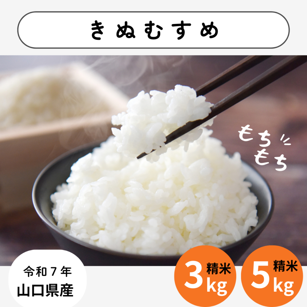 山口県産きぬむすめ